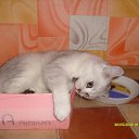 ���� ��� ����, ������, 24 ���� - ��������� 25 ����� 2010 � ������ ���� �����