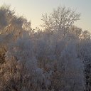 ���� �������, ���������, 54 ���� - ��������� 14 �������� 2011