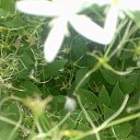 ���� Rina, �������, 39 ��� - ��������� 26 ������ 2010 � ������ ��������