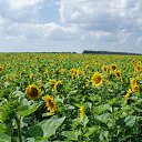 ���� �������, ������, 65 ��� - ��������� 12 �������� 2011 � ������ �������