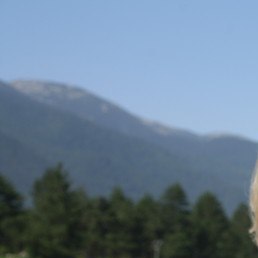 ����, �����