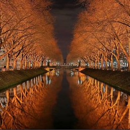 ���� ���� ����! ���� � ����., ��������, 44 ���� - ��������� 23 ���� 2010