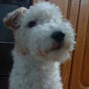 ���� ������, ������ - ��������� 4 ���� 2013 � ������ ����� ��� ������������