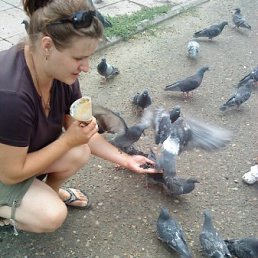 ��������, �����, 50 ���