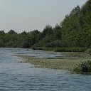  , , 69  -  29  2013    ...