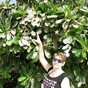 ���. ���� ���-������. �� ������� ���� ����������