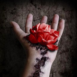 ���� ������, ����, 28 ��� - ��������� 4 ������� 2012