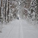 ���� ������, ��������� - ��������� 31 ������ 2010 � ������ �������� �������