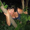  , , 50  -  18  2013    2013