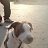 ���� Mrpitbull, ��������, 38 ��� - ��������� 30 ������ 2010