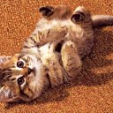 ���� ����������, �����, 24 ���� - ��������� 25 ������ 2011 � ������ ����������� �����