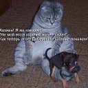 ���� ��������, ������ - ��������� 27 �������� 2010 � ������ ���������!!!�