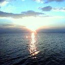  , , 51  -  1  2012   *****************