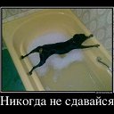 ���� ������, ������������ - ��������� 11 ������� 2012 � ������ �������