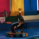 ���� �����, ���������, 60 ��� - ��������� 4 ��� 2011 � ������ �� �...�