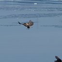 ���� ����, ������-�������, 49 ��� - ��������� 22 �������� 2012 � ������ ���� ����������