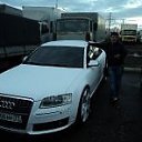 ���� Alegator ��������, ������, 38 ��� - ��������� 23 ������� 2012