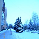 ���� - ������� �� ������� �2012 - 2013�