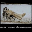 ���� �������, ������������, 45 ��� - ��������� 19 ���� 2013