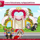  •°• ~~•°•, , 26  -  11  2010   PetLove