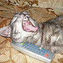 ���� �����, ������, 50 ��� - ��������� 3 ������ 2010 � ������ ��������