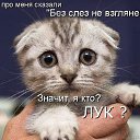 ���� ����, ���� - ��������� 20 ������ 2013 � ������ ���� ����������