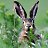 ���� �������, �������, 49 ��� - ��������� 26 ��� 2012