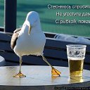  Lika,  -  3  2010      2 :))