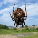 ���� ������, �����������, 65 ��� - ��������� 26 �������� 2011 � ������ �������� � �!�