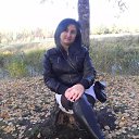 ���� ����, ����, 43 ���� - ��������� 9 ������� 2012 � ������ ���� ����������