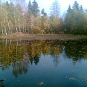 ���� �������, ������, 65 ��� - ��������� 24 ������� 2010 � ������ �...� �� ������ ������ - ������ ����� ��������..�