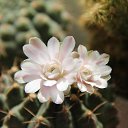 ���� ����, ������-��-����, 24 ���� - ��������� 28 ���� 2010 � ������ �������