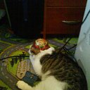  Dark    , -, 43  -  17  2013   