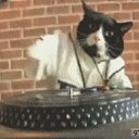 ���� Dj Alex Core, ������, 40 ��� - ��������� 20 ���� 2013 � ������ ���� ����������