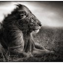 ���� ���� (������), ������ ���, 63 ���� - ��������� 9 ������ 2012