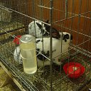 ���� �����, �������������, 25 ��� - ��������� 28 ���� 2013 � ������ �� �� ���������.�