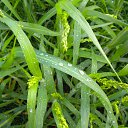 ���� ������, ������, 59 ��� - ��������� 23 ������ 2011 � ������ ���� ����������