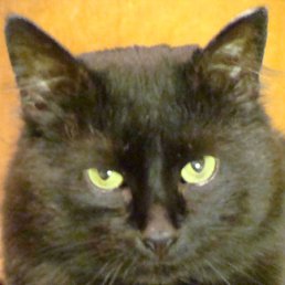 � ����� - ������!