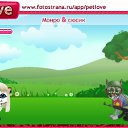 ���� Sirin, ���, 30 ��� - ��������� 10 ��� 2011 � ������ �PetLove�