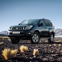 ���� Romeo, ����, 49 ��� - ��������� 28 ������� 2012 � ������ �������