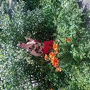 ���� ������, ������, 68 ��� - ��������� 26 ���� 2013 � ������ ����� ��� ������������