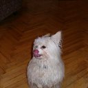 ���� Katkas, �������, 45 ��� - ��������� 30 ������� 2009 � ������ ����������