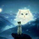 ��� ������� �����. �� ������� ���� ����������