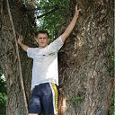  , , 50  -  1  2012   2012