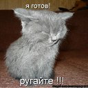 ���� �������, �������, 48 ��� - ��������� 7 ������ 2012 � ������ �������