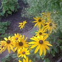 ���� Rina, �������, 39 ��� - ��������� 26 ������ 2010 � ������ ��������