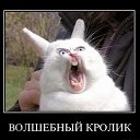 ���� ���, ������ - ��������� 27 ��� 2013 � ������ ���� ����������