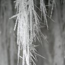 ���� ����������, �����������, 46 ��� - ��������� 22 ������� 2011 � ������ ��������