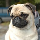 ���� &deg;&bull;*������&deg;&bull;*, ����������, 23 ���� - ��������� 3 �������� 2010 � ������ �������