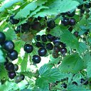  , -, 40  -  16  2011     